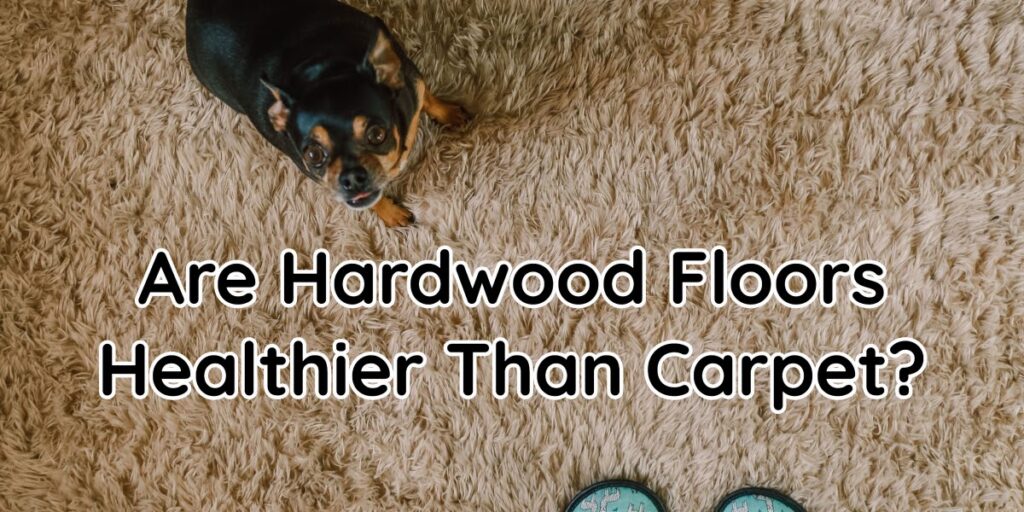 Carpeted Flooring Health